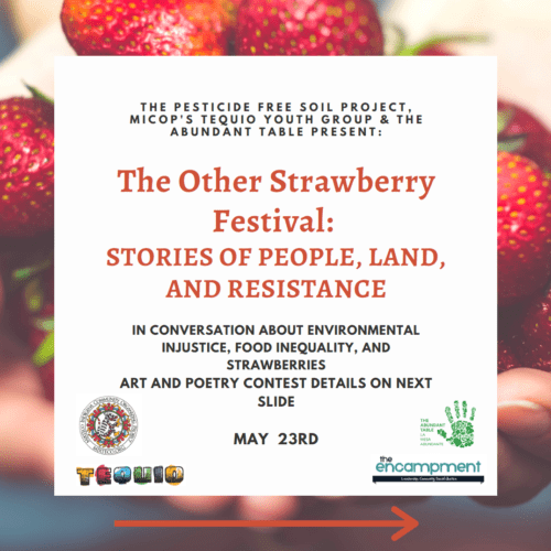 The Other Straberry Festival